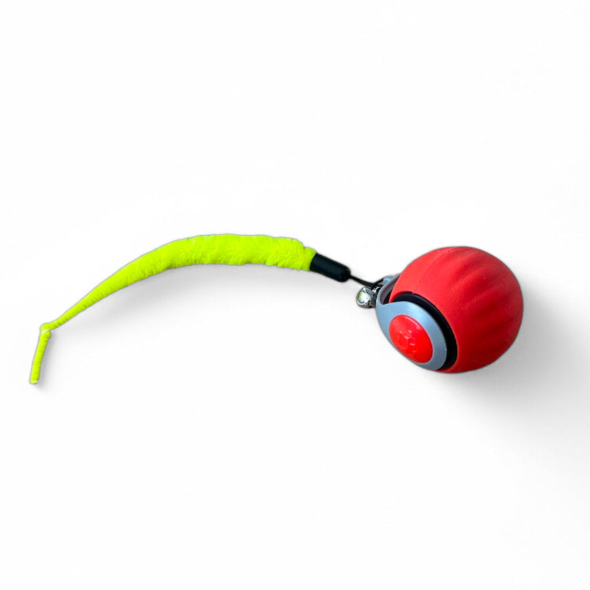 Premium Light Ball - Cat Toy