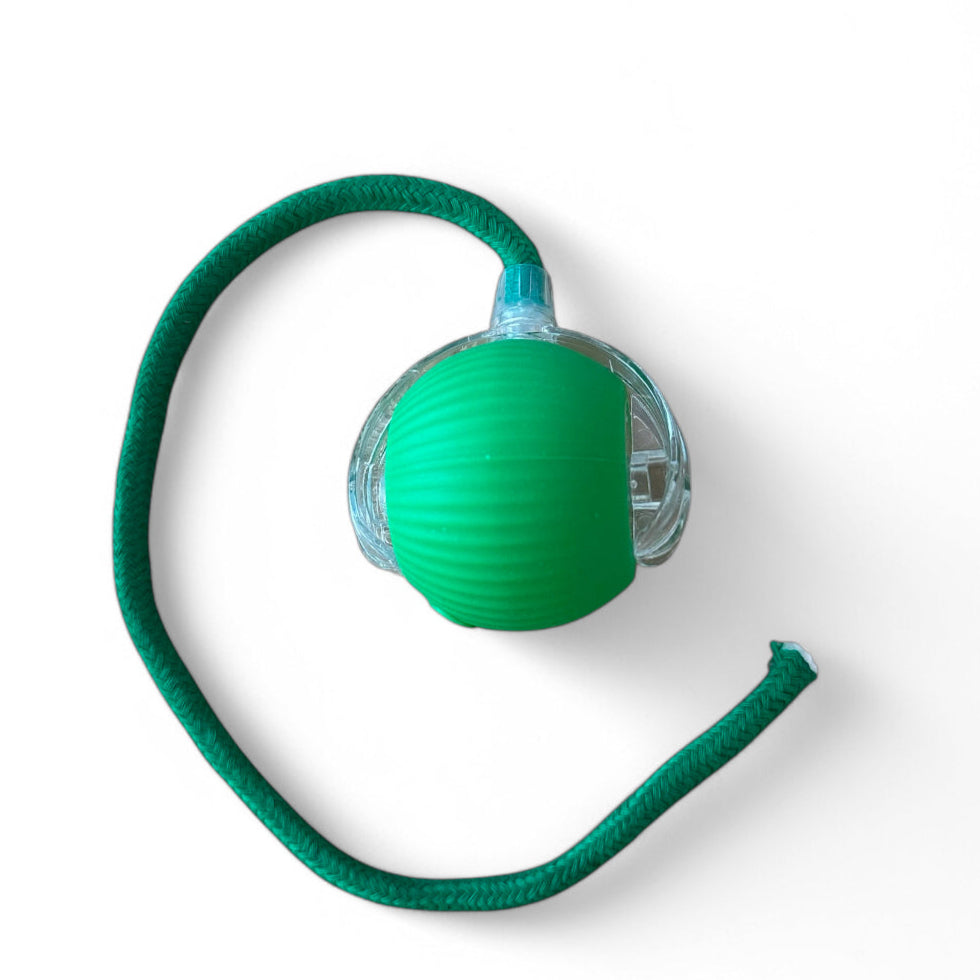 Magical Light Ball - Cat Toy