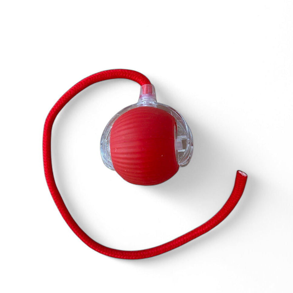 Magical Light Ball - Cat Toy