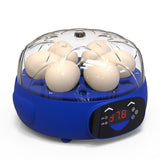 Mini Automatic Egg Incubator - Model Orange 🐣