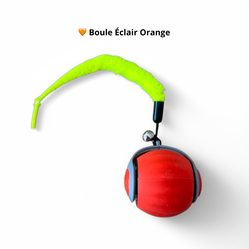Premium Light Ball - Cat Toy