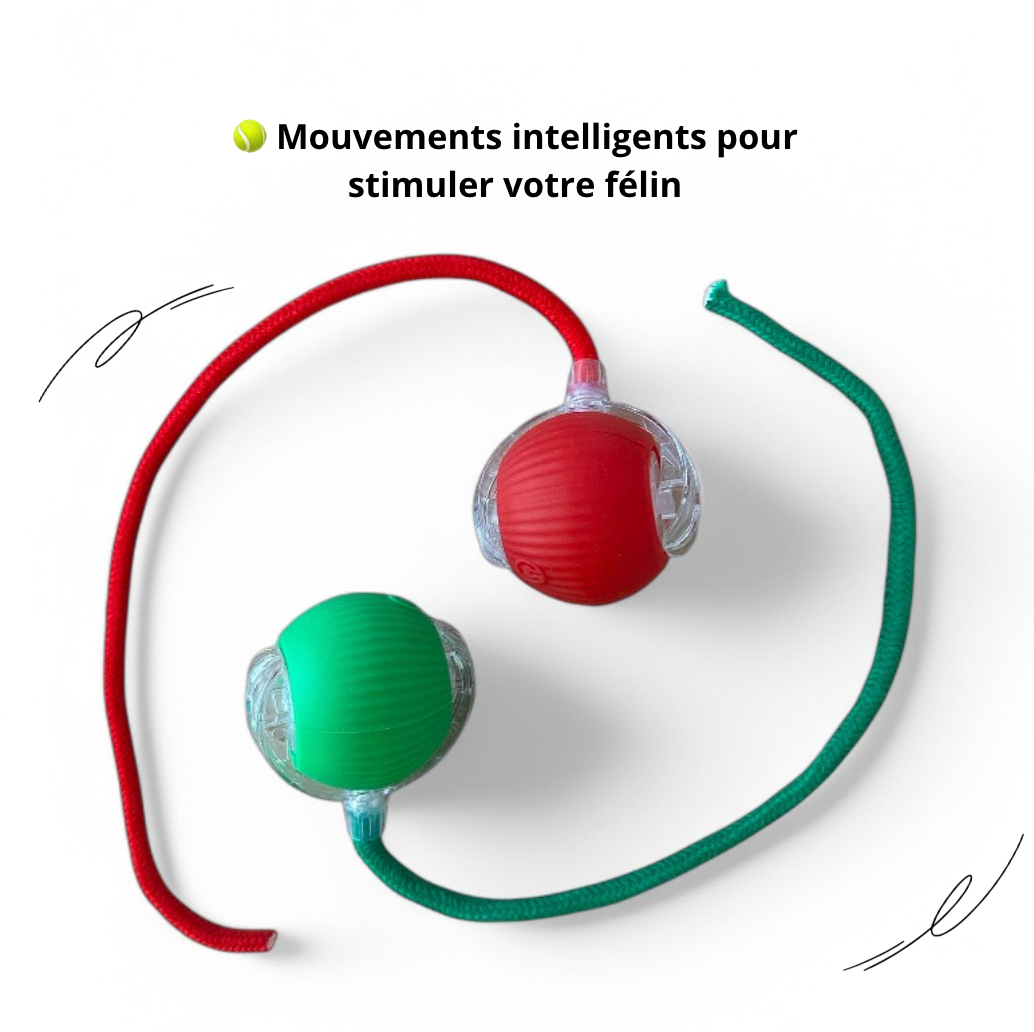 Magical Light Ball - Cat Toy