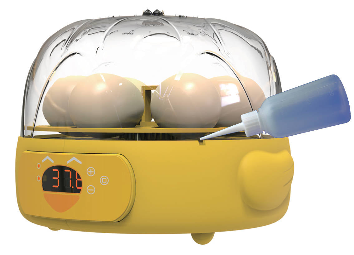 Mini Automatic Egg Incubator - Model Orange 🐣